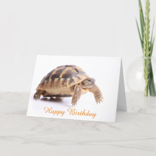 Agradecimiento Tarjeta de cumpleaños
