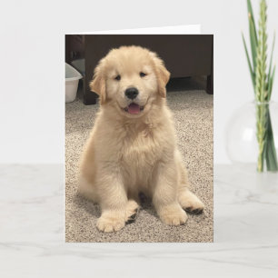 Agradecimiento Tarjeta de cumpleaños de las aventuras de Archie