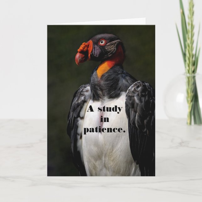 AGRADECIMIENTO TARJETA DE CUMPLEAÑOS DE PACIENCIA DE VULTURA (Anverso)