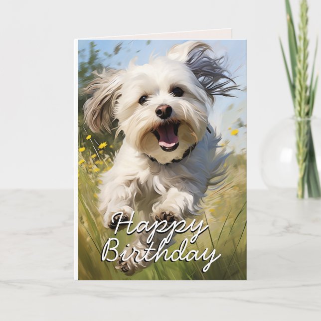 Agradecimiento Tarjeta de cumpleaños de personalizado Havanese (Anverso)