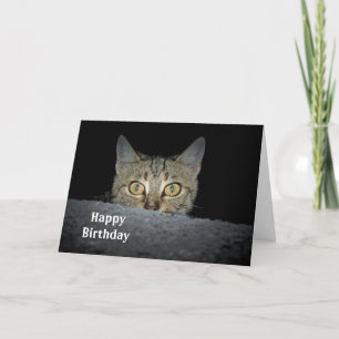 Agradecimiento Tarjeta de cumpleaños de Tabby Cat Peeking