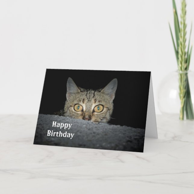 Agradecimiento Tarjeta de cumpleaños de Tabby Cat Peeking (Anverso)