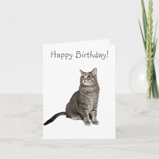 Agradecimiento Tarjeta de cumpleaños para gatos abisinos (Anverso)