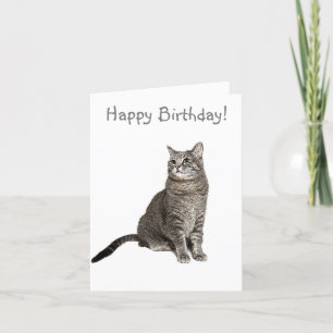 Agradecimiento Tarjeta de cumpleaños para gatos abisinos