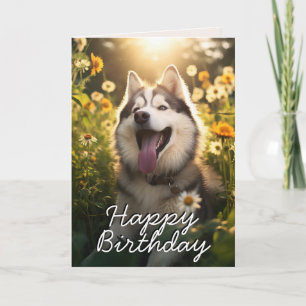 Agradecimiento Tarjeta de cumpleaños personalizado Alaskan Malamu
