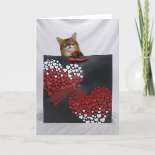 Agradecimiento Tarjeta de El día de San Valentín de un gato somal