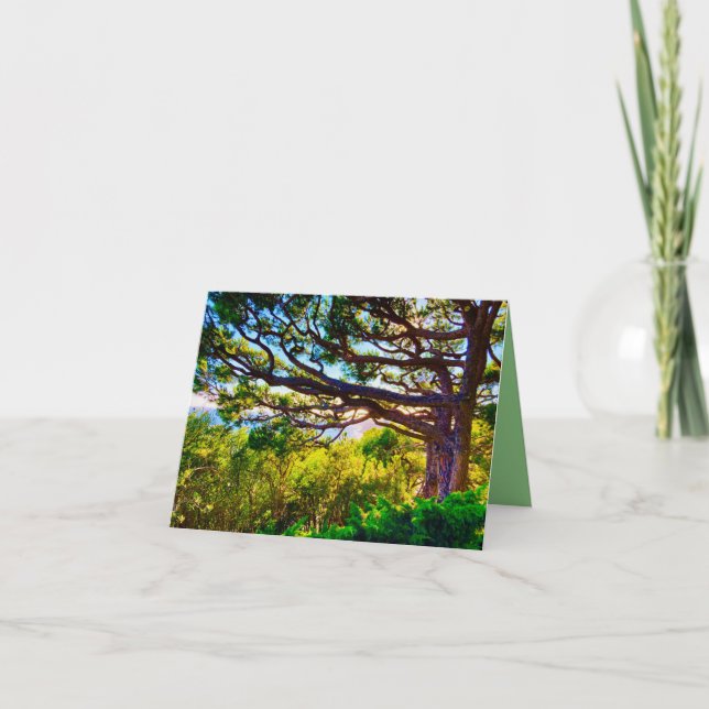 Agradecimiento Tarjeta de Escondite de Árbol (Anverso)
