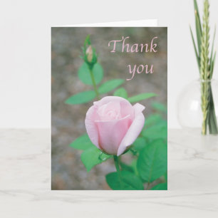 Agradecimiento Tarjeta de escritura - Gracias con rosa rosa claro