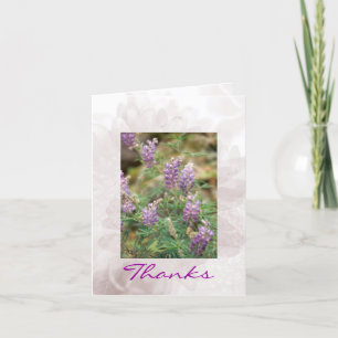 Agradecimiento Tarjeta de felicitación alpina de las flores