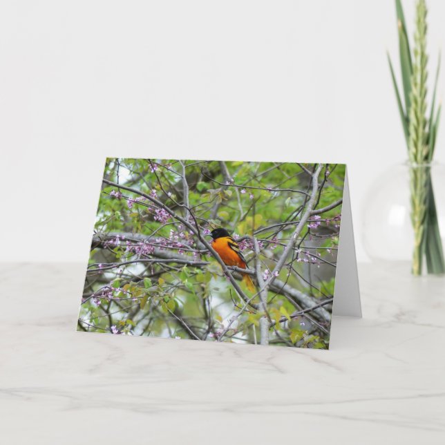 Agradecimiento Tarjeta de felicitación Baltimore Oriole (Anverso)