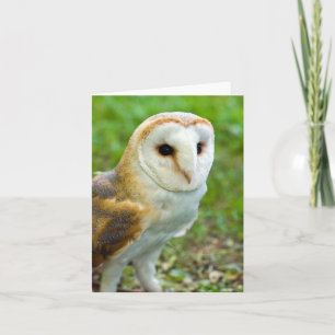 Agradecimiento Tarjeta de felicitación Barn Owl