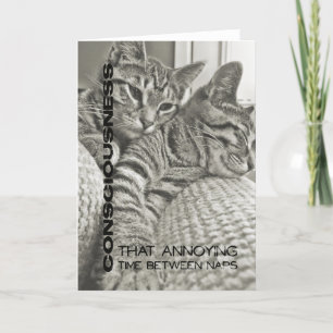 Agradecimiento Tarjeta de felicitación de 40 WINKS