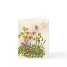 Tarjeta de felicitación de amapola silvestre amari