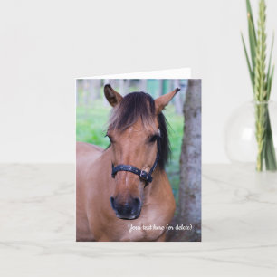 Agradecimiento Tarjeta de felicitación de caballo Fjord Noruego