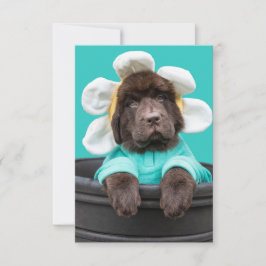 Agradecimiento Tarjeta de felicitación de cachorro en maceta
