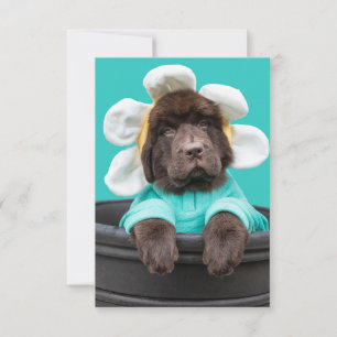 Agradecimiento Tarjeta de felicitación de cachorro en maceta