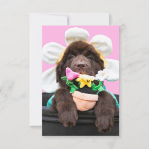 Agradecimiento Tarjeta de felicitación de cachorro en maceta 2