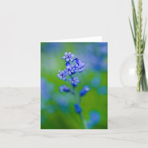 Agradecimiento Tarjeta de felicitación de flor de campanilla azul