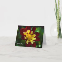 Tarjeta de felicitación de flor de Dalia roja y am