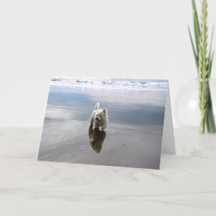 Agradecimiento Tarjeta de felicitación de fotos para la reflexión