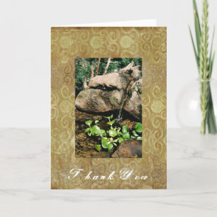 Agradecimiento Tarjeta de felicitación de la cascada de Woodland