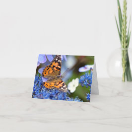 Agradecimiento Tarjeta de felicitación de la mariposa Painted Lad