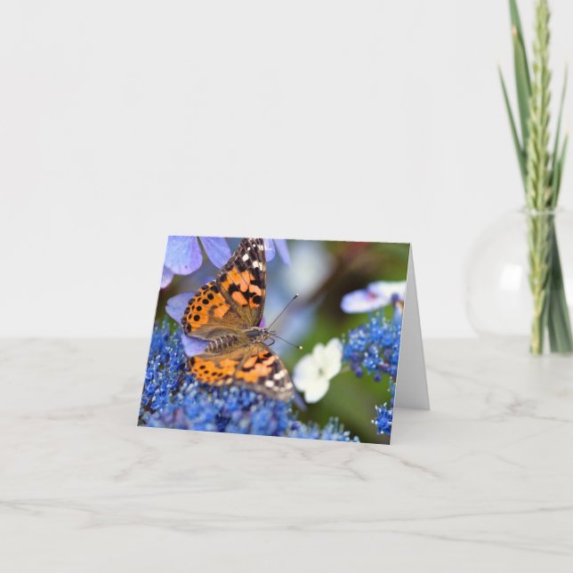 Agradecimiento Tarjeta de felicitación de mariposa Lady Pintada (Anverso)