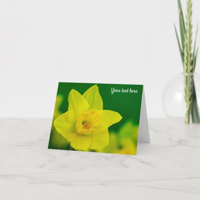 Agradecimiento Tarjeta de felicitación de narciso (Anverso)