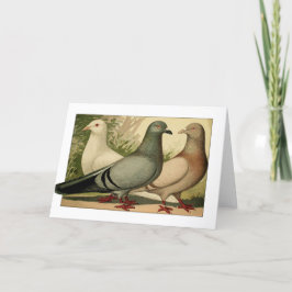 Agradecimiento Tarjeta de felicitación de palomas vintage