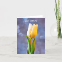 Tarjeta de felicitación de tulipán blanco