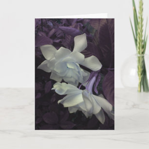 Agradecimiento Tarjeta de felicitación del Gardenia