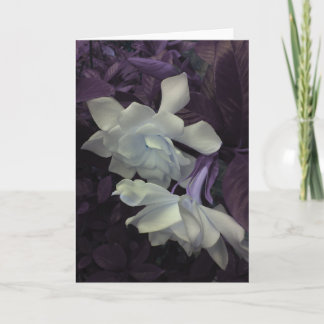 Agradecimiento Tarjeta de felicitación del Gardenia