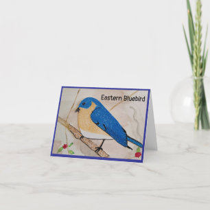 Agradecimiento Tarjeta de felicitación Eastern Bluebird Blank