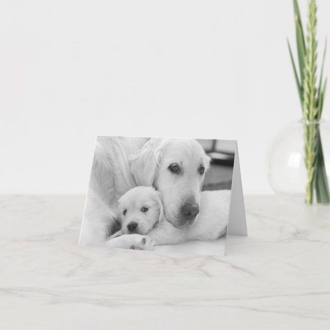 Agradecimiento Tarjeta de felicitación en blanco (Anverso)