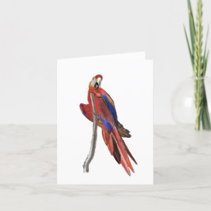 Agradecimiento Tarjeta de felicitación en blanco con diseño de gu