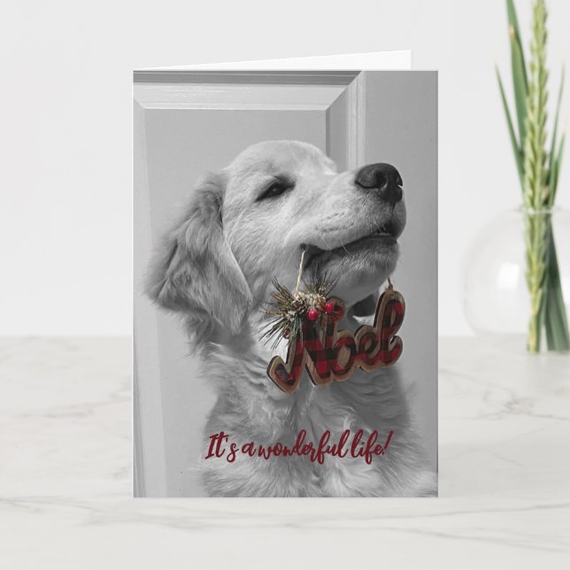 Agradecimiento Tarjeta de felicitación en blanco de Adventures de (Anverso)