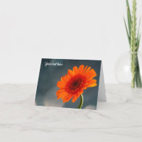 Tarjeta de felicitación Gerbera de un solo Naranja
