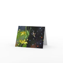 Tarjeta de felicitación Hummingbird Blank