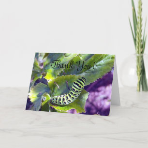 Agradecimiento Tarjeta de felicitación negra de Swallowtail