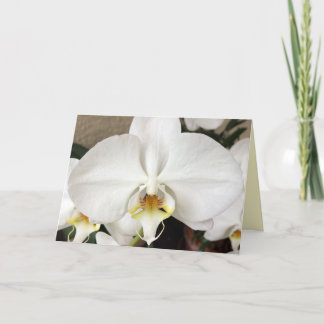 Agradecimiento Tarjeta de felicitación Orquídea Blanca