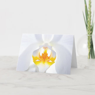 Agradecimiento Tarjeta de felicitación Orquídea Blanca