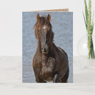 Agradecimiento Tarjeta de felicitación para caballos salvajes - F