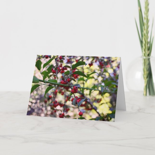 Agradecimiento Tarjeta de felicitación para navidades (Anverso)