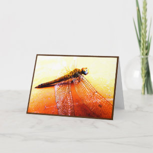 Agradecimiento Tarjeta de felicitación plegada de libélula