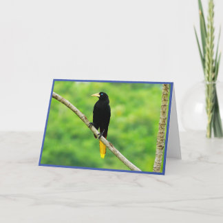 Agradecimiento Tarjeta de felicitación plegada Oropendola