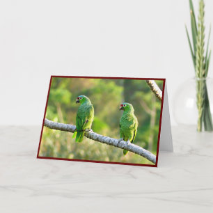 Agradecimiento Tarjeta de felicitación plegada Parakeets