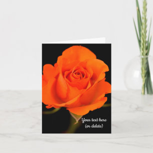 Agradecimiento Tarjeta de felicitación Rosa de un solo Naranja