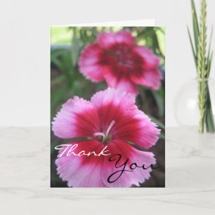 Agradecimiento Tarjeta de felicitación rosada bonita del clavel