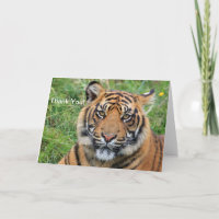 Tarjeta de felicitación Tiger Thank You