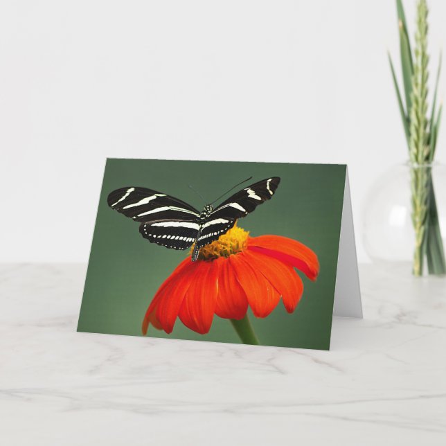 Agradecimiento Tarjeta de felicitación Zebra Longwing Butterfly B (Anverso)